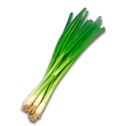 Лук зеленый